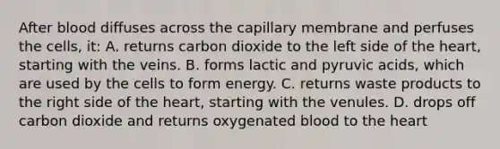 After blood diffuses across the capillary membrane and perfuses the cells, it: A. returns carbon dioxide to the left side of <a href='https://www.questionai.com/knowledge/kya8ocqc6o-the-heart' class='anchor-knowledge'>the heart</a>, starting with the veins. B. forms lactic and pyruvic acids, which are used by the cells to form energy. C. returns waste products to the right side of the heart, starting with the venules. D. drops off carbon dioxide and returns oxygenated blood to the heart