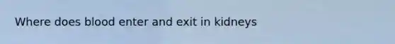Where does blood enter and exit in kidneys