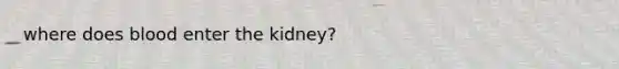 where does blood enter the kidney?