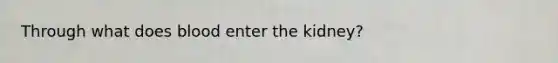 Through what does blood enter the kidney?