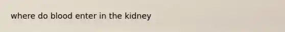 where do blood enter in the kidney