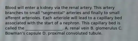 Blood will enter a kidney via the renal artery. This artery branches to small "segmental" arteries and finally to small afferent arterioles. Each arteriole will lead to a capillary bed associated with the start of a nephron. This capillary bed is called the ___________________. A. renal vein B. glomerulus C. Bowman's capsule D. proximal convoluted tubule.