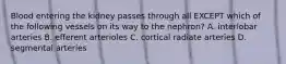 Blood entering the kidney passes through all EXCEPT which of the following vessels on its way to the nephron? A. interlobar arteries B. efferent arterioles C. cortical radiate arteries D. segmental arteries