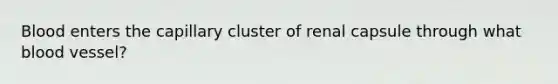 Blood enters the capillary cluster of renal capsule through what blood vessel?