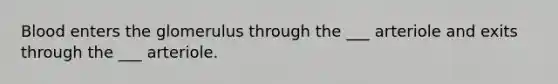 Blood enters the glomerulus through the ___ arteriole and exits through the ___ arteriole.