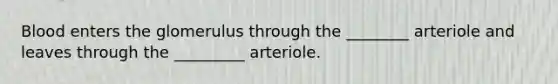 Blood enters the glomerulus through the ________ arteriole and leaves through the _________ arteriole.