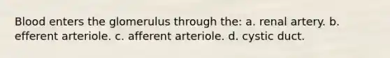 Blood enters the glomerulus through the: a. renal artery. b. efferent arteriole. c. afferent arteriole. d. cystic duct.