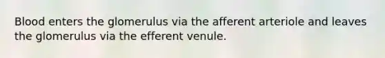 Blood enters the glomerulus via the afferent arteriole and leaves the glomerulus via the efferent venule.