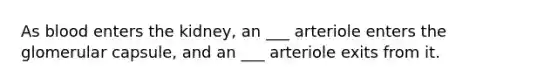 As blood enters the kidney, an ___ arteriole enters the glomerular capsule, and an ___ arteriole exits from it.