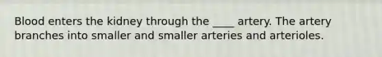 Blood enters the kidney through the ____ artery. The artery branches into smaller and smaller arteries and arterioles.