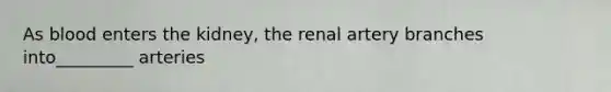 As blood enters the kidney, the renal artery branches into_________ arteries