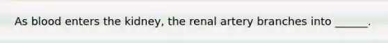 As blood enters the kidney, the renal artery branches into ______.