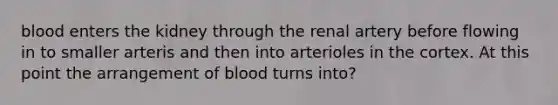 blood enters the kidney through the renal artery before flowing in to smaller arteris and then into arterioles in the cortex. At this point the arrangement of blood turns into?