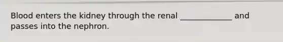 Blood enters the kidney through the renal _____________ and passes into the nephron.