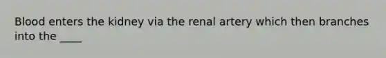 Blood enters the kidney via the renal artery which then branches into the ____