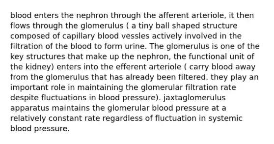 blood enters the nephron through the afferent arteriole, it then flows through the glomerulus ( a tiny ball shaped structure composed of capillary blood vessles actively involved in the filtration of the blood to form urine. The glomerulus is one of the key structures that make up the nephron, the functional unit of the kidney) enters into the efferent arteriole ( carry blood away from the glomerulus that has already been filtered. they play an important role in maintaining the glomerular filtration rate despite fluctuations in blood pressure). jaxtaglomerulus apparatus maintains the glomerular blood pressure at a relatively constant rate regardless of fluctuation in systemic blood pressure.