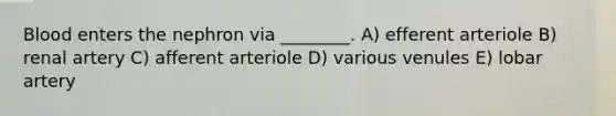 Blood enters the nephron via ________. A) efferent arteriole B) renal artery C) afferent arteriole D) various venules E) lobar artery