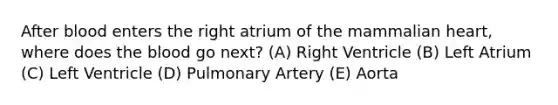 After blood enters the right atrium of the mammalian heart, where does the blood go next? (A) Right Ventricle (B) Left Atrium (C) Left Ventricle (D) Pulmonary Artery (E) Aorta