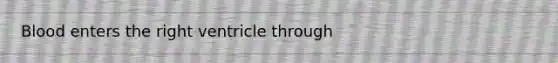 Blood enters the right ventricle through