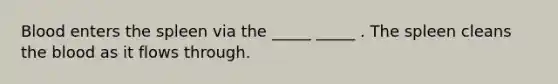 Blood enters the spleen via the _____ _____ . The spleen cleans the blood as it flows through.