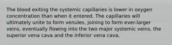 The blood exiting the systemic capillaries is lower in oxygen concentration than when it entered. The capillaries will ultimately unite to form venules, joining to form ever-larger veins, eventually flowing into the two major systemic veins, the superior vena cava and the inferior vena cava,