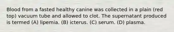 Blood from a fasted healthy canine was collected in a plain (red top) vacuum tube and allowed to clot. The supernatant produced is termed (A) lipemia. (B) icterus. (C) serum. (D) plasma.