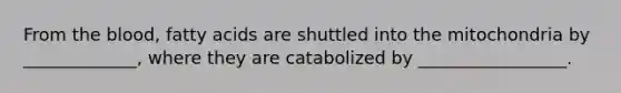 From the blood, fatty acids are shuttled into the mitochondria by _____________, where they are catabolized by _________________.