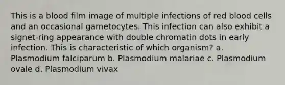 This is a blood film image of multiple infections of red blood cells and an occasional gametocytes. This infection can also exhibit a signet-ring appearance with double chromatin dots in early infection. This is characteristic of which organism? a. Plasmodium falciparum b. Plasmodium malariae c. Plasmodium ovale d. Plasmodium vivax