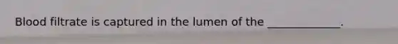 Blood filtrate is captured in the lumen of the _____________.