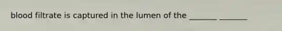 blood filtrate is captured in the lumen of the _______ _______