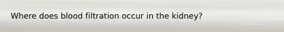 Where does blood filtration occur in the kidney?