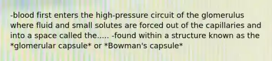 -blood first enters the high-pressure circuit of the glomerulus where fluid and small solutes are forced out of the capillaries and into a space called the..... -found within a structure known as the *glomerular capsule* or *Bowman's capsule*