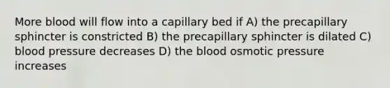 More blood will flow into a capillary bed if A) the precapillary sphincter is constricted B) the precapillary sphincter is dilated C) blood pressure decreases D) the blood osmotic pressure increases