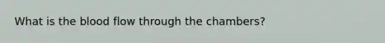 What is the blood flow through the chambers?