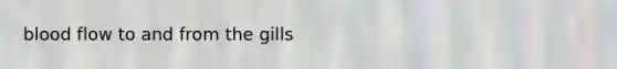 blood flow to and from the gills