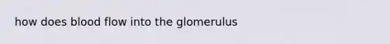 how does blood flow into the glomerulus