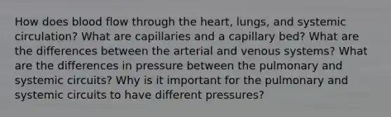 How does blood flow through the heart, lungs, and systemic circulation? What are capillaries and a capillary bed? What are the differences between the arterial and venous systems? What are the differences in pressure between the pulmonary and systemic circuits? Why is it important for the pulmonary and systemic circuits to have different pressures?