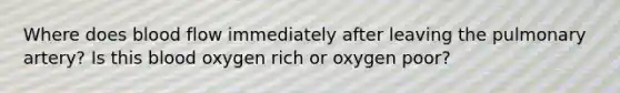 Where does blood flow immediately after leaving the pulmonary artery? Is this blood oxygen rich or oxygen poor?