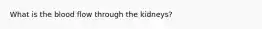 What is the blood flow through the kidneys?