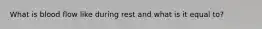 What is blood flow like during rest and what is it equal to?