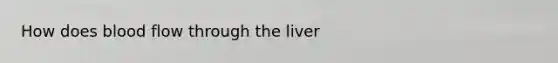 How does blood flow through the liver