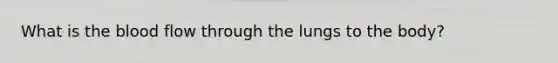 What is the blood flow through the lungs to the body?