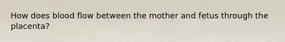 How does blood flow between the mother and fetus through the placenta?