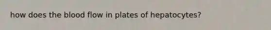 how does the blood flow in plates of hepatocytes?