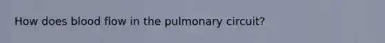 How does blood flow in the pulmonary circuit?