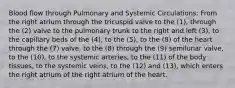 Blood flow through Pulmonary and Systemic Circulations: From the right atrium through the tricuspid valve to the (1), through the (2) valve to the pulmonary trunk to the right and left (3), to the capillary beds of the (4), to the (5), to the (8) of the heart through the (7) valve, to the (8) through the (9) semilunar valve, to the (10), to the systemic arteries, to the (11) of the body tissues, to the systemic veins, to the (12) and (13), which enters the right atrium of the right atrium of the heart.