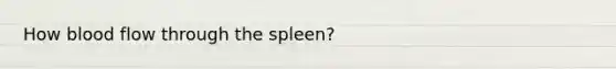 How blood flow through the spleen?