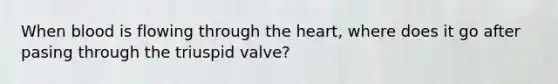 When blood is flowing through the heart, where does it go after pasing through the triuspid valve?