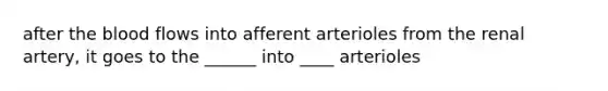 after the blood flows into afferent arterioles from the renal artery, it goes to the ______ into ____ arterioles