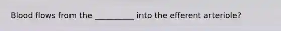 Blood flows from the __________ into the efferent arteriole?